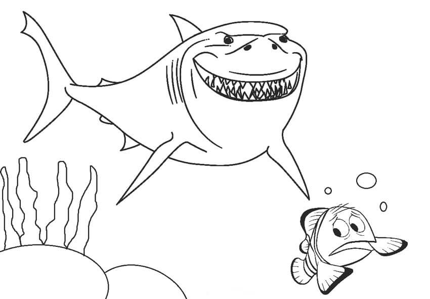 Tiburón Y Nemo para colorir