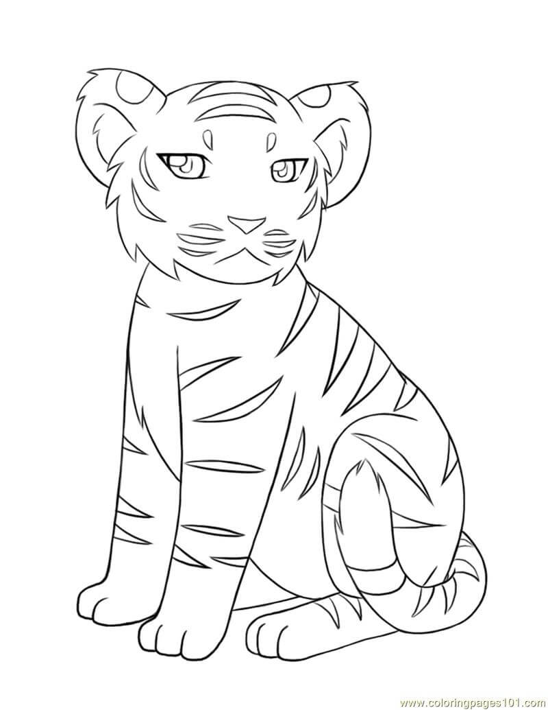 Tigre Bebé para colorir