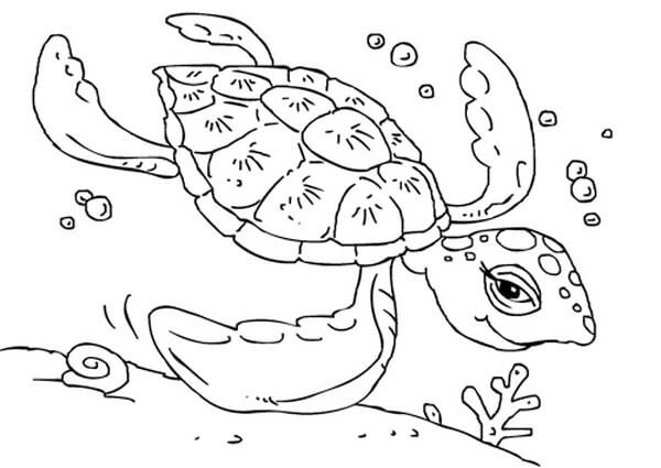 Tortuga Marina Nadando para colorir