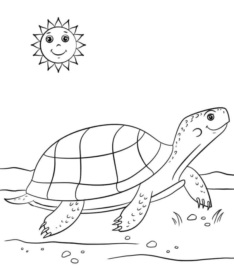 Dibujos de Tortuga y Sol Sonriendo para colorear