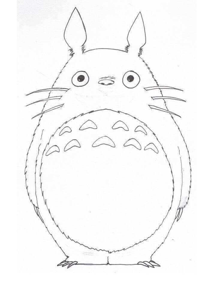 Totoro Divertido para colorir