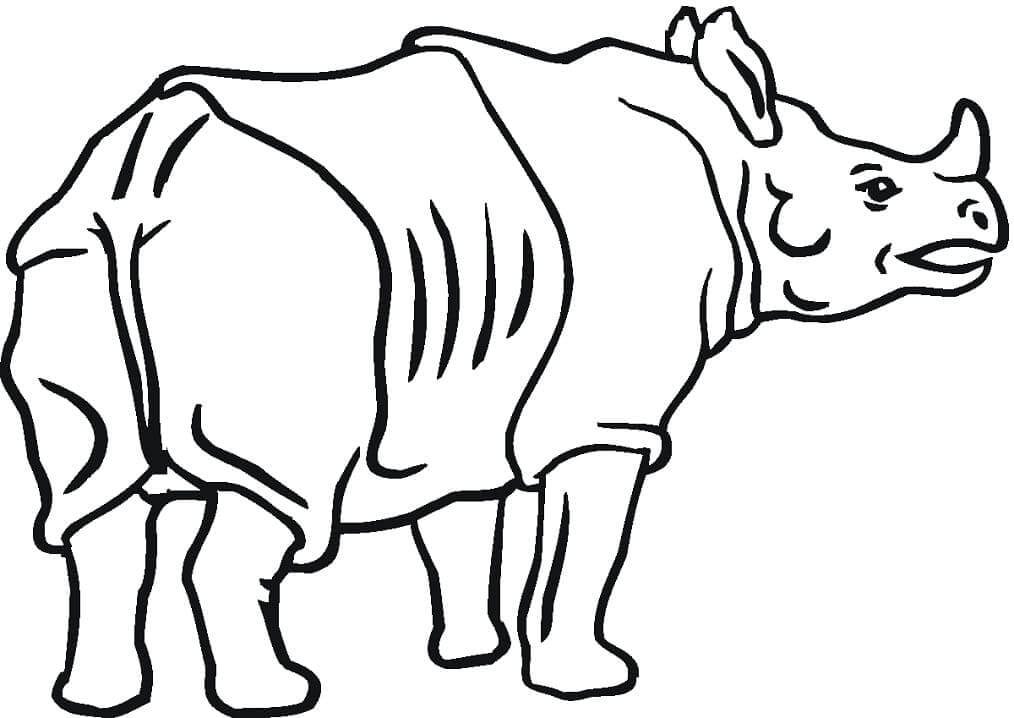 Dibujos de Trasero de Rinoceronte para colorear