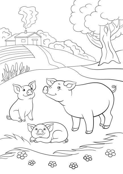 Dibujos de Tres Cerdos en la Granja para colorear