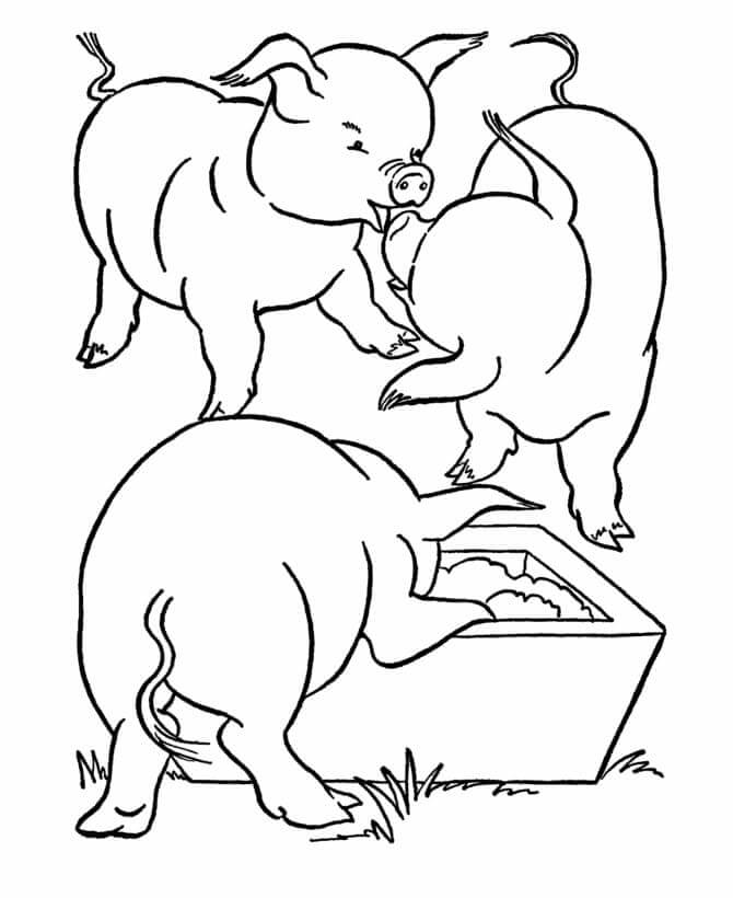 Dibujos de Tres Cerdos para colorear
