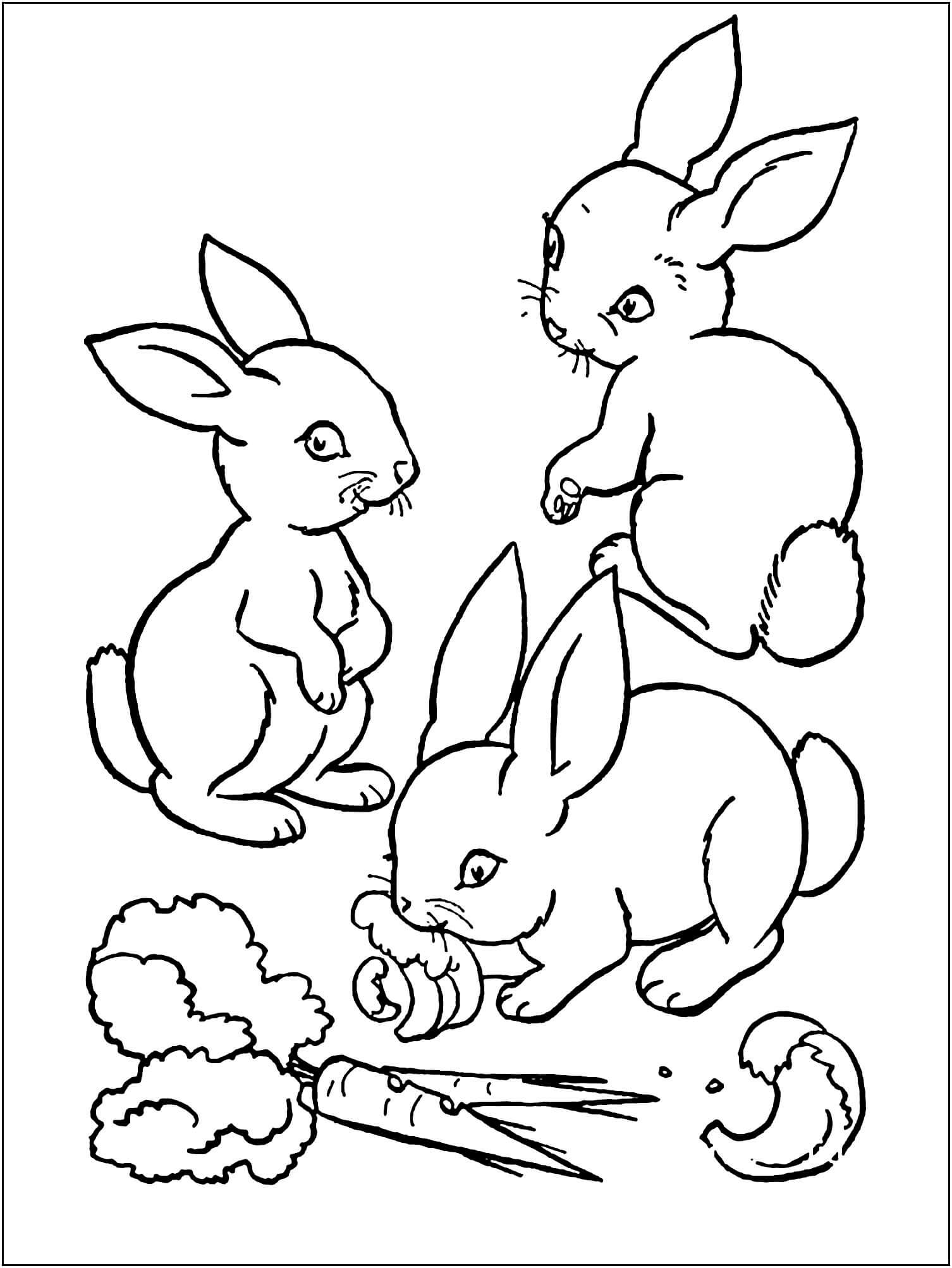 Dibujos de Tres Conejos Con Zanahorias para colorear