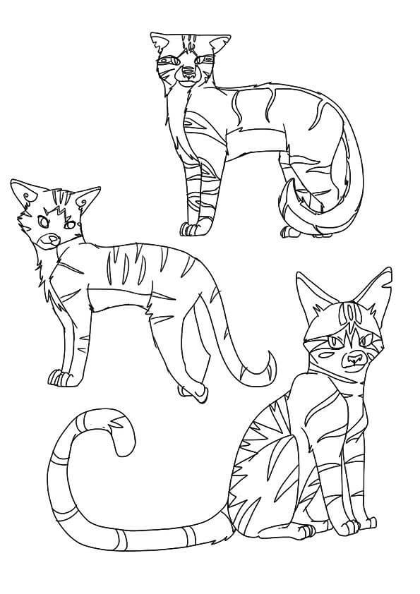 Tres Gatos Guerreros para colorir