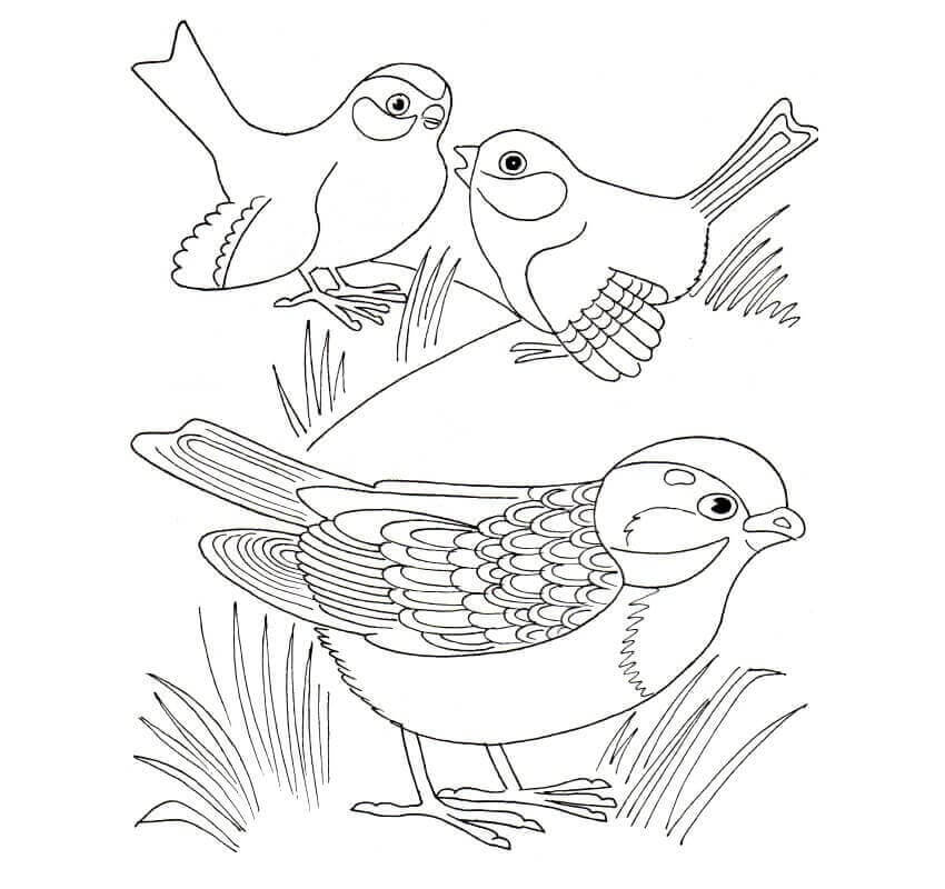 Dibujos de Tres Gorriones para colorear
