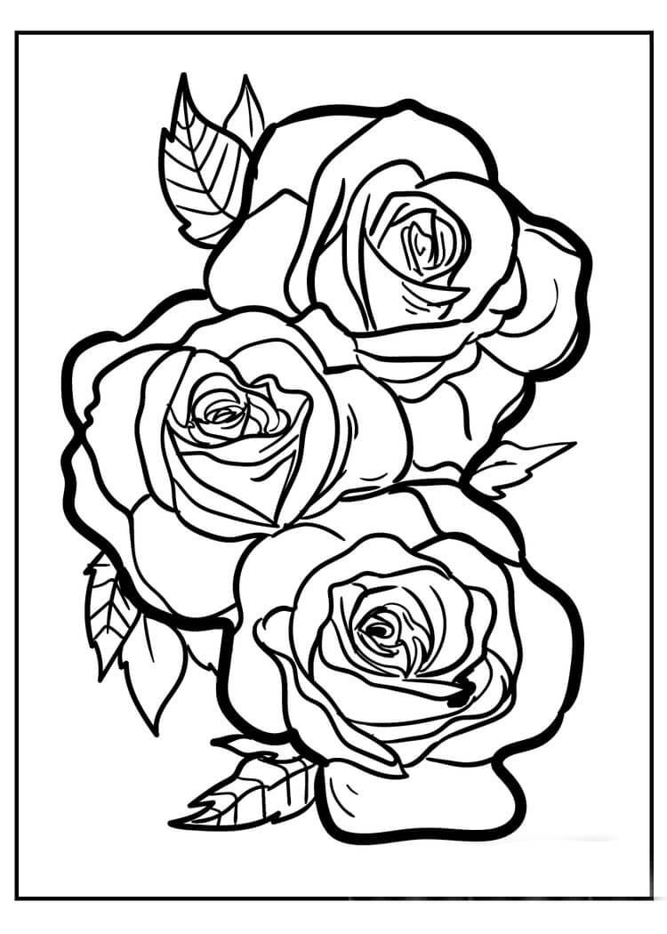 Tres Rosas para colorir