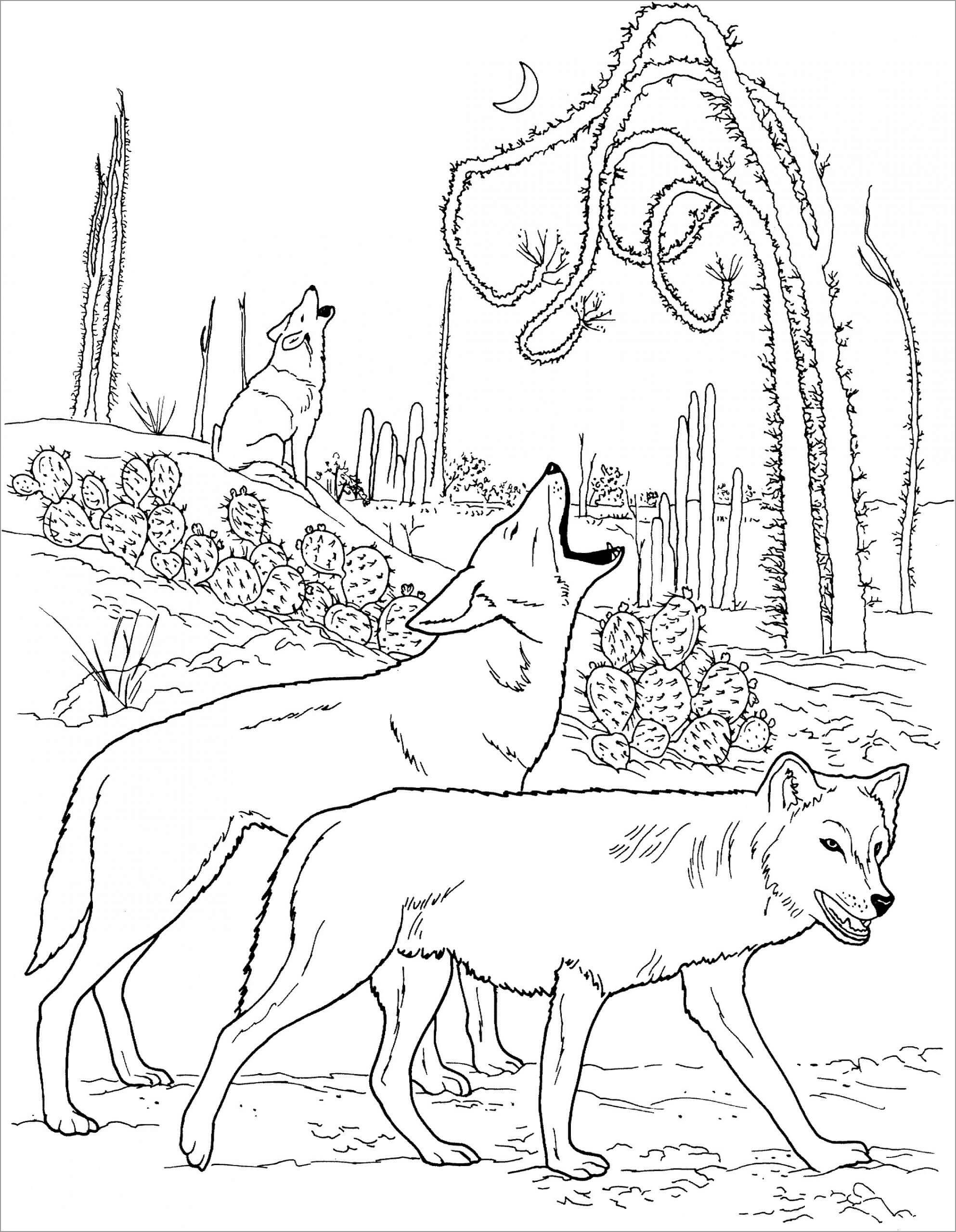 Dibujos de Tres lobos Aulladores para colorear
