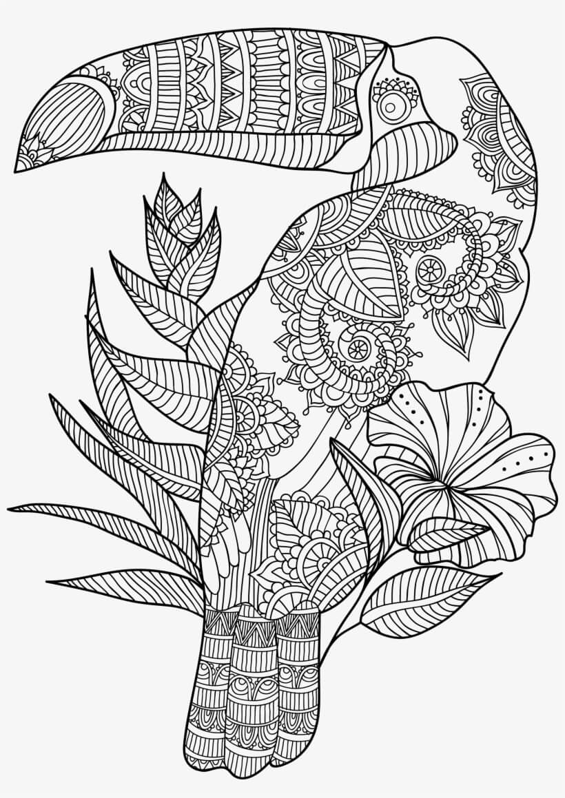 Tucán Zentangle para colorir