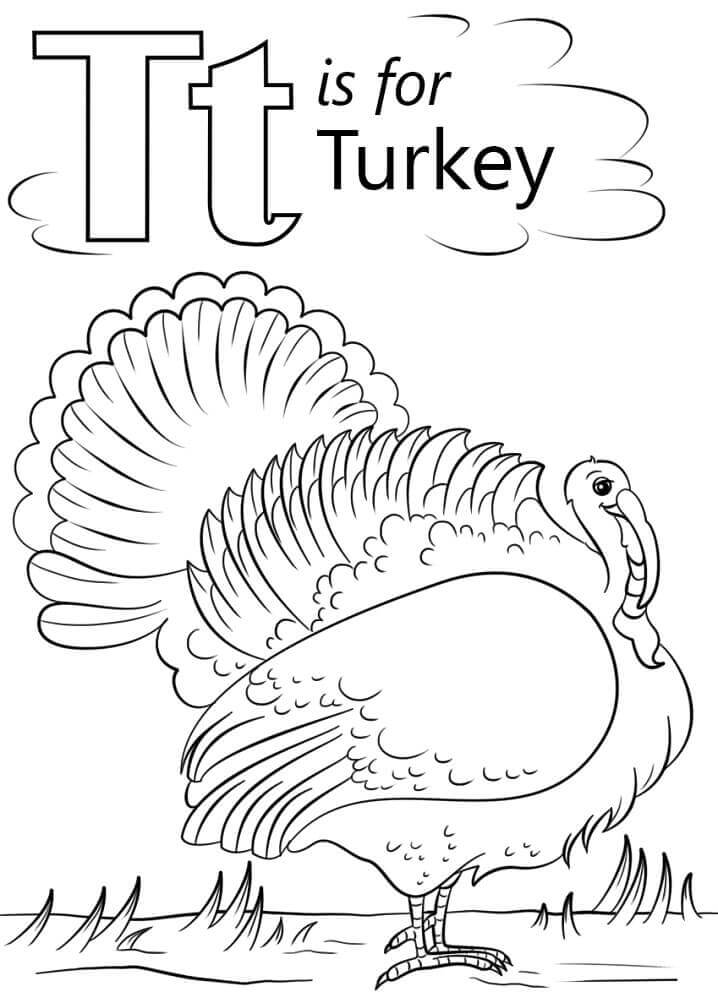 Dibujos de Turquía Letra T para colorear