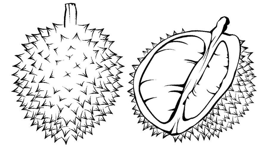 Dibujos de Un Durian y Medio Durian para colorear