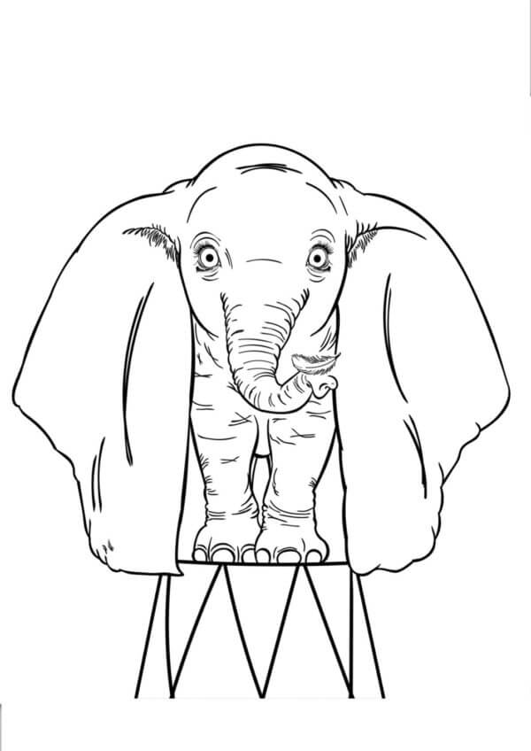 Dibujos de Un Elefante De Circo único Que Puede Volar para colorear