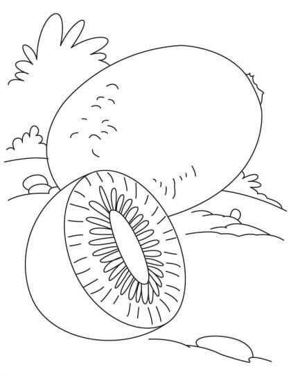 Dibujos de Un Kiwi y medio Kiwi para colorear