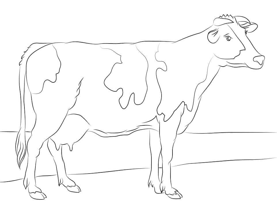 Vaca Holstein para colorir