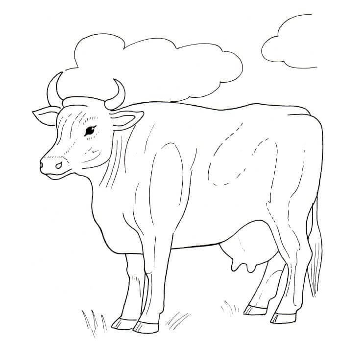 Dibujos de Vaca con Nubes para colorear