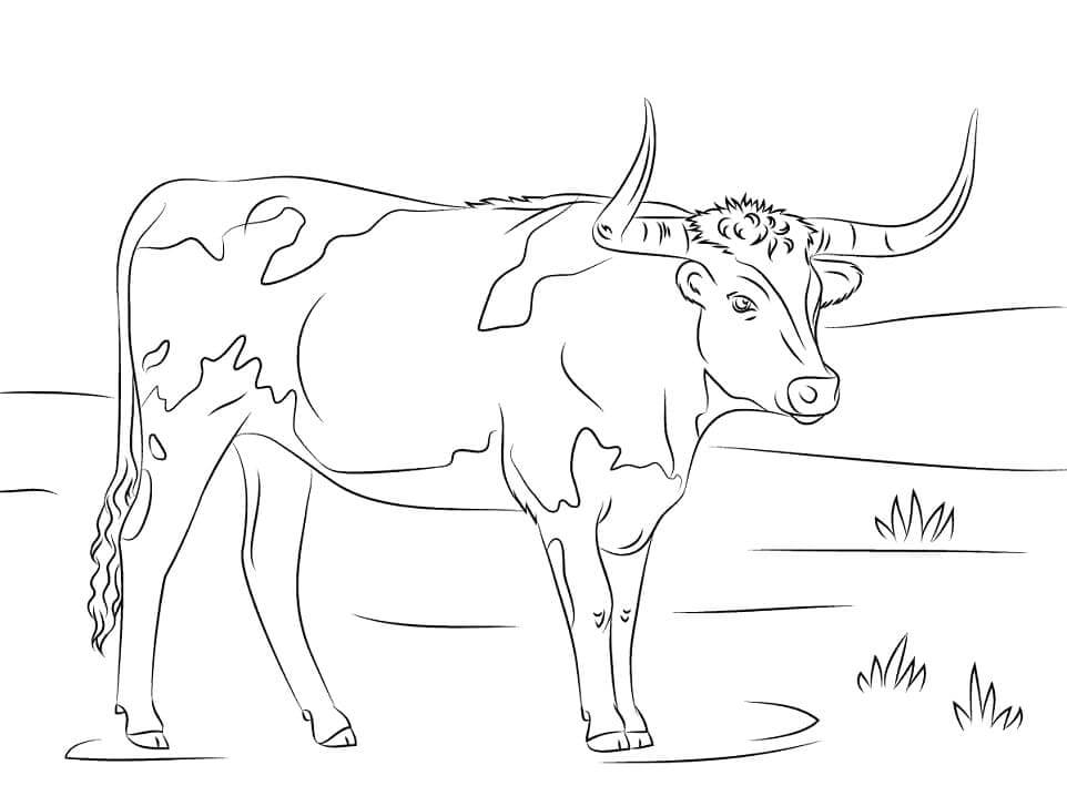 Dibujos de Vaca de Cuernos Largos para colorear