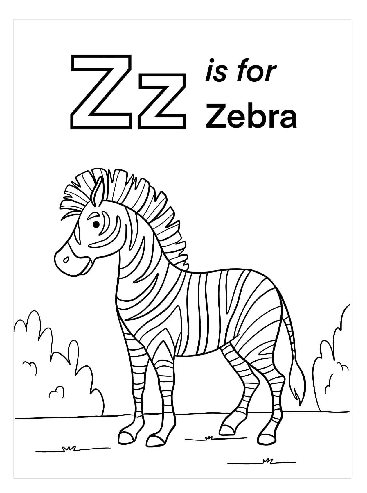 Z es para Cebra para colorir