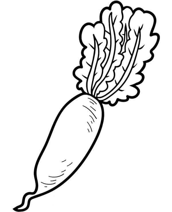 Dibujos de Zanahoria Vegetal para colorear