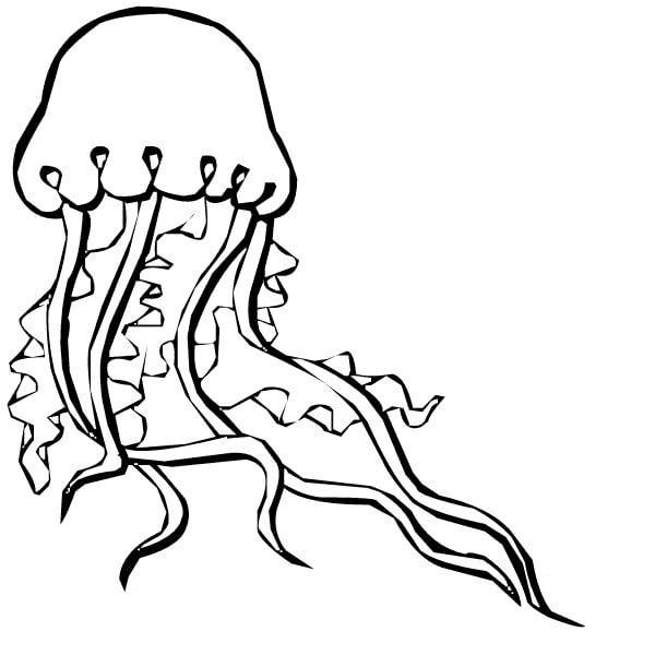 Dibujos de Zentangle de Medusas para colorear