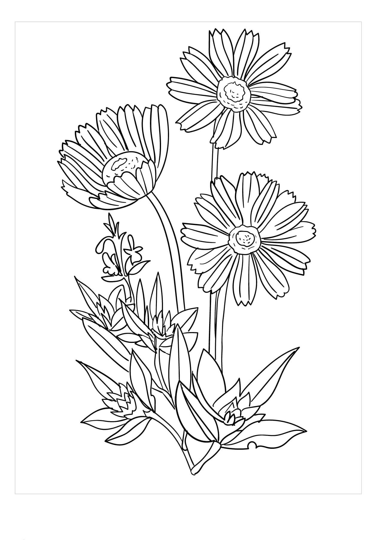 Dibujos de Árbol Gardenia para colorear
