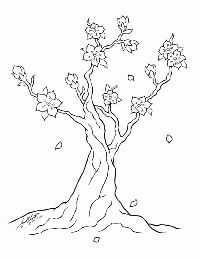 Dibujos de Árbol de Flor de Cerezo Simple para colorear