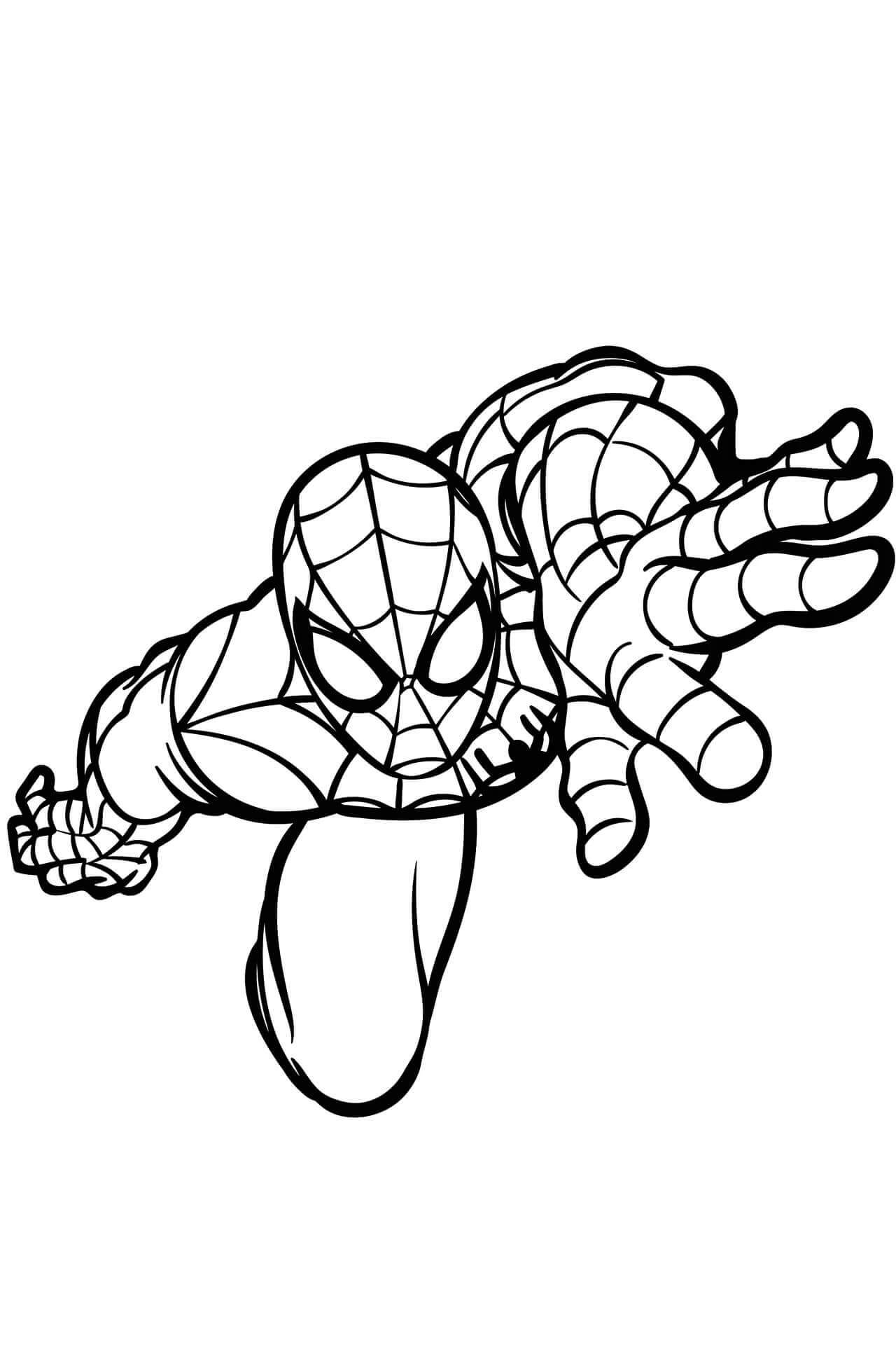Spiderman Climbing Värityskuva