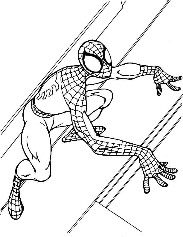Spiderman free Download Värityskuva