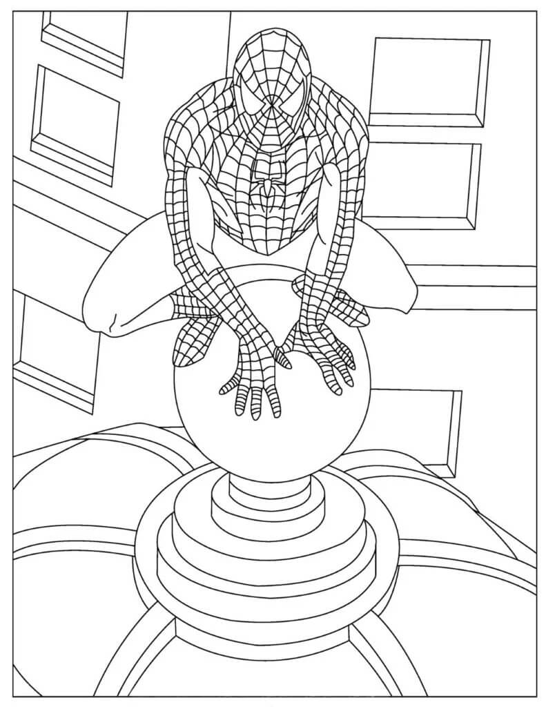 Spiderman on Building Värityskuva
