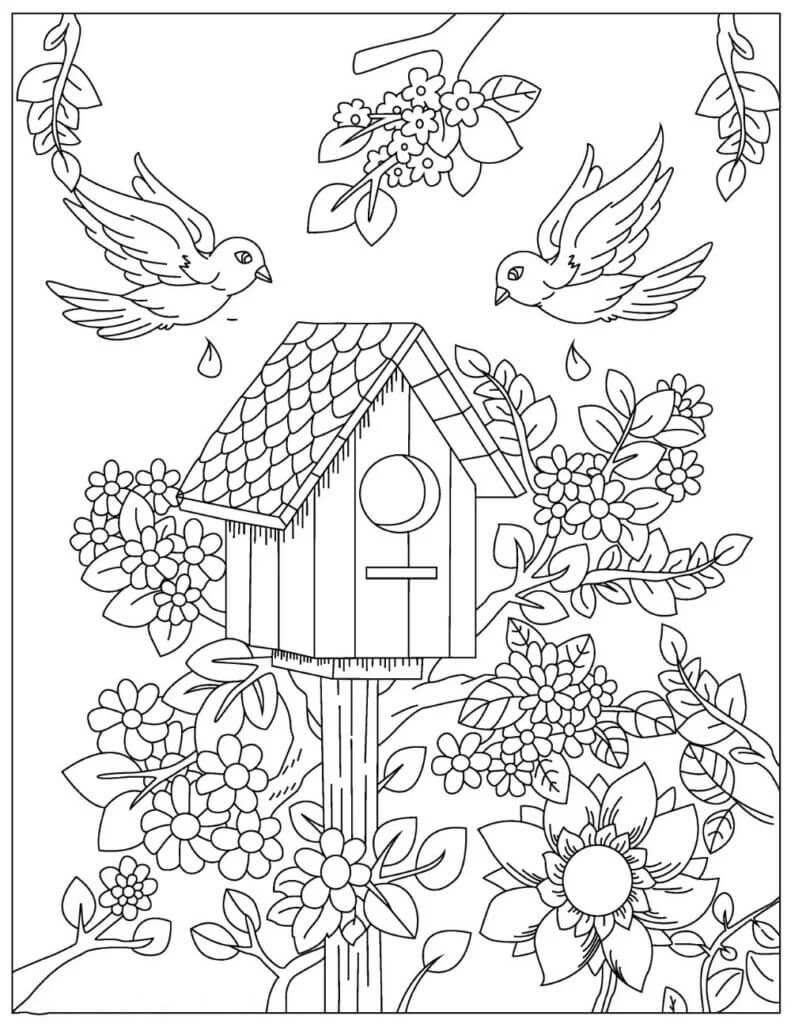 Birds, Nests and Flowers Värityskuva