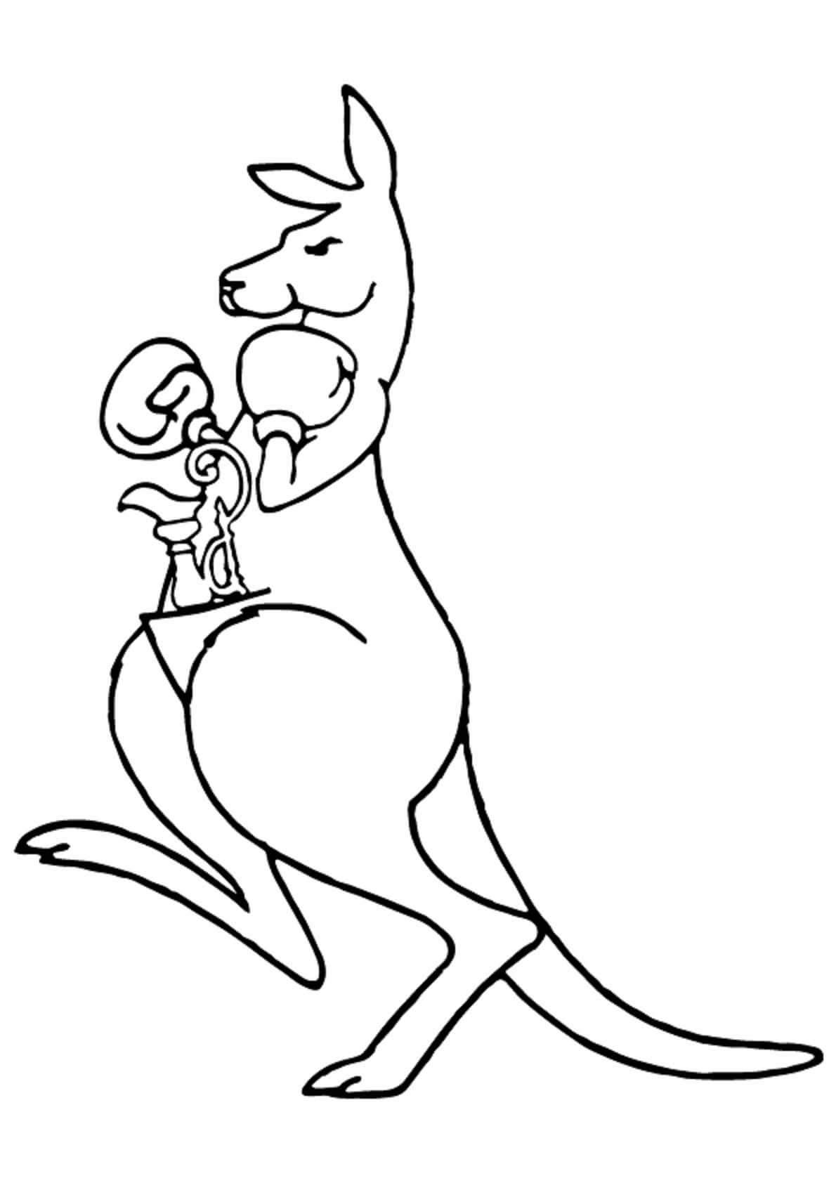 Kangaroo Nyrkkeilypelaaja Värityskuva