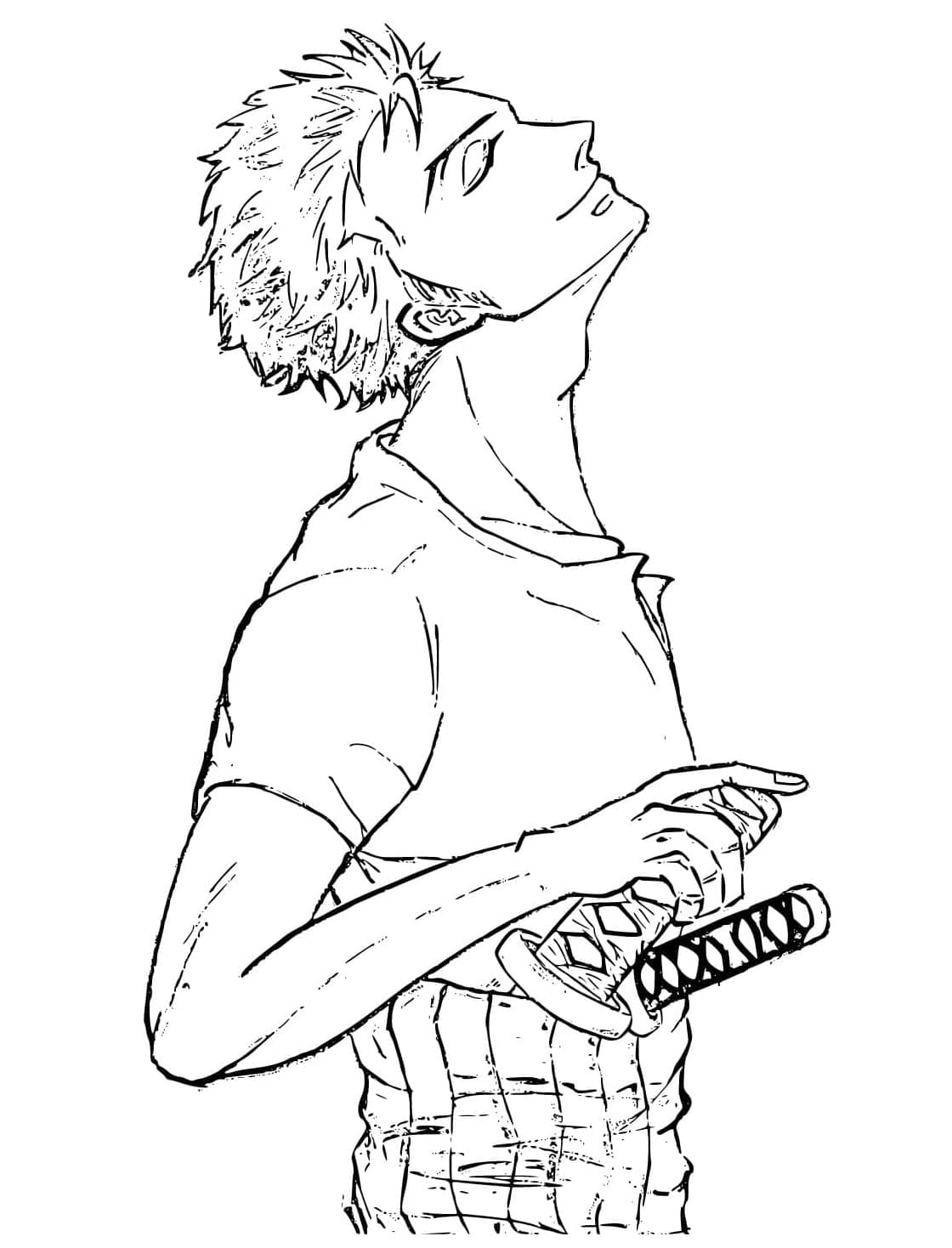 Zoro Image Värityskuva