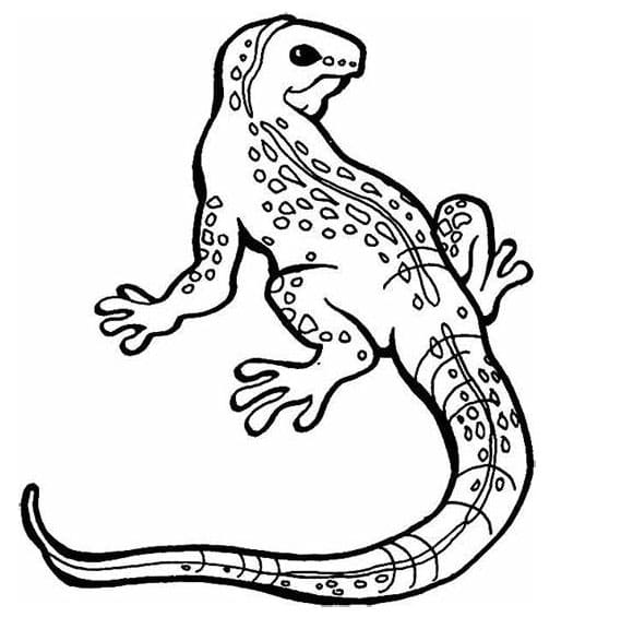 Ilmaiset liskot Värityskuva