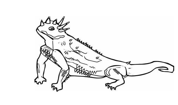 Liskot coloring pages