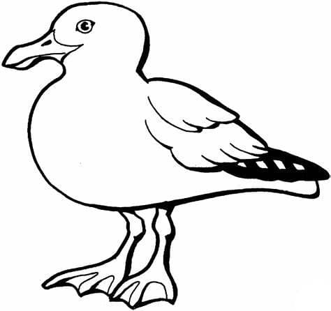Lokit coloring pages