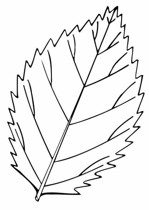 Lehdet coloring pages