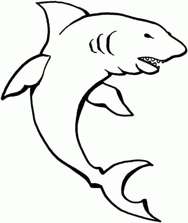 Free Shark Värityskuva