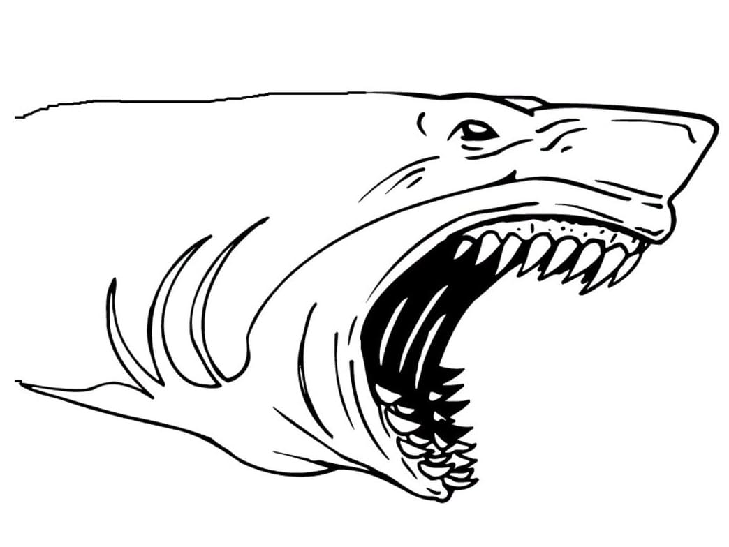 Hungry Shark Värityskuva