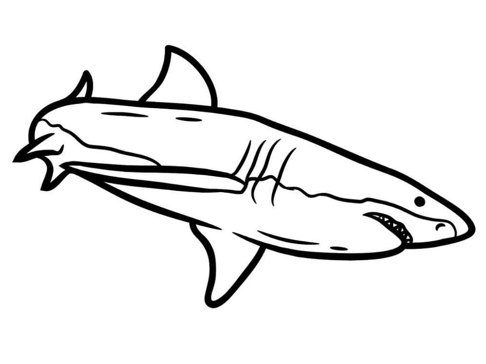 Normal Shark Värityskuva