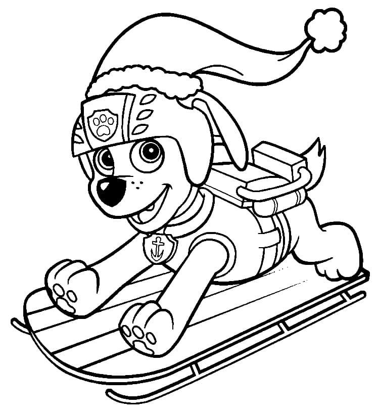 Paw Patrol Zuma Kelkassa Värityskuva