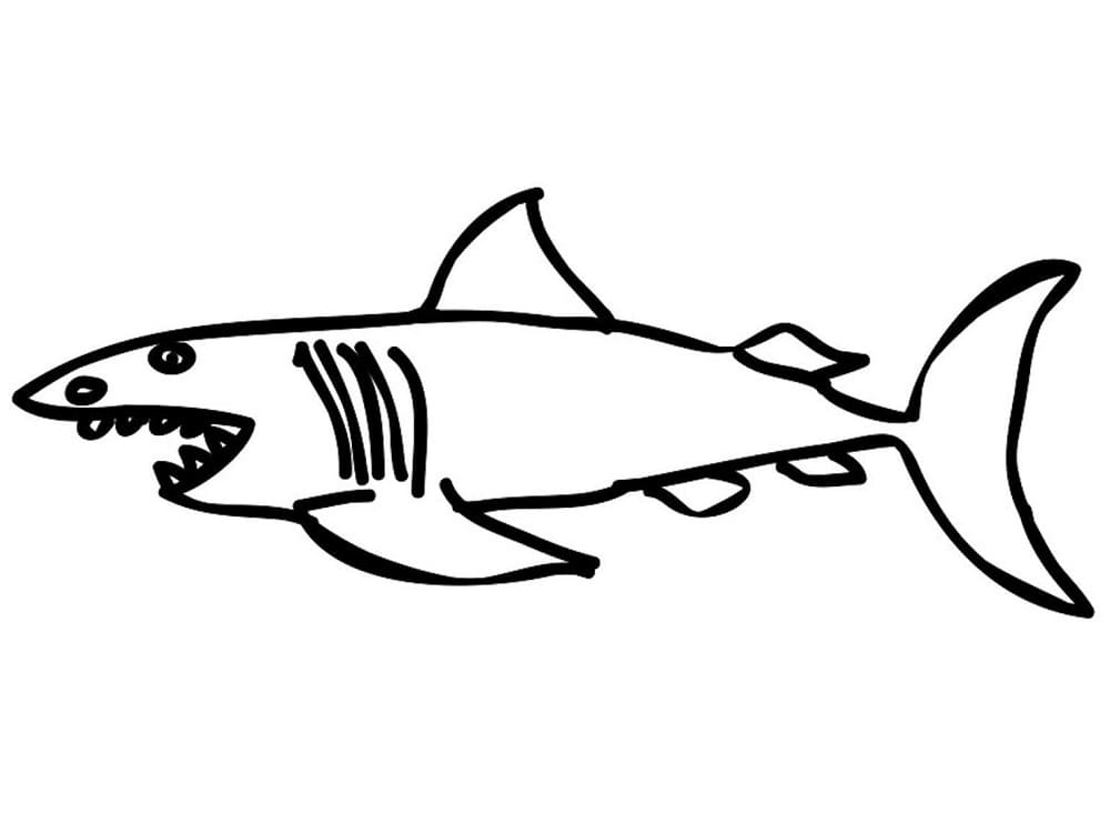 Shark for Kids Värityskuva