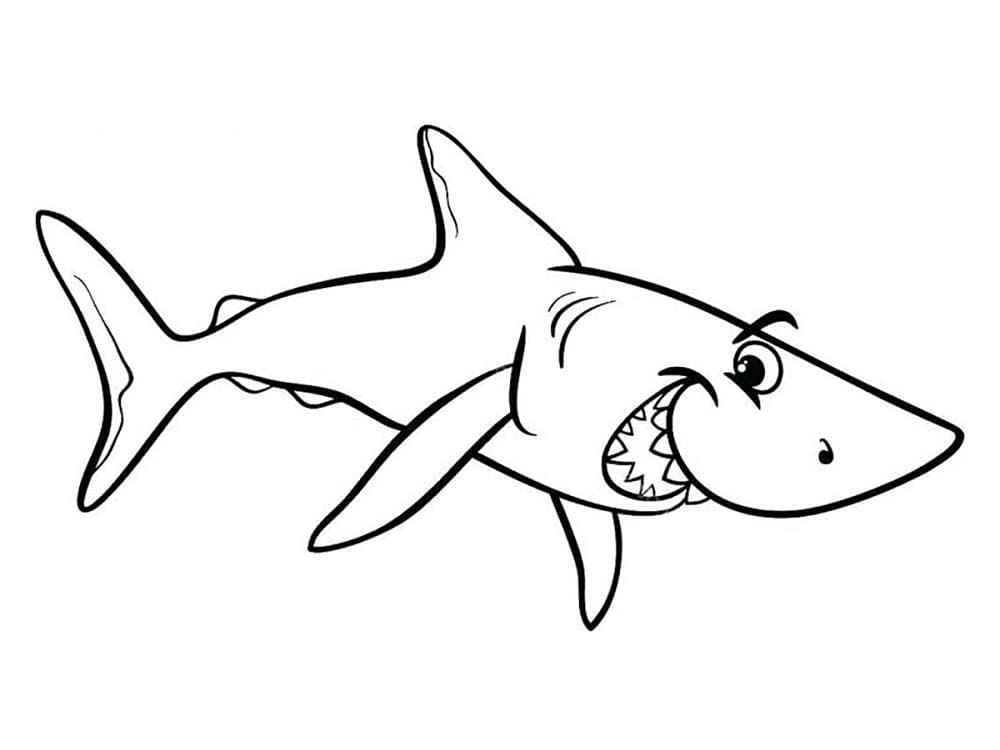 Shark Smiles Värityskuva