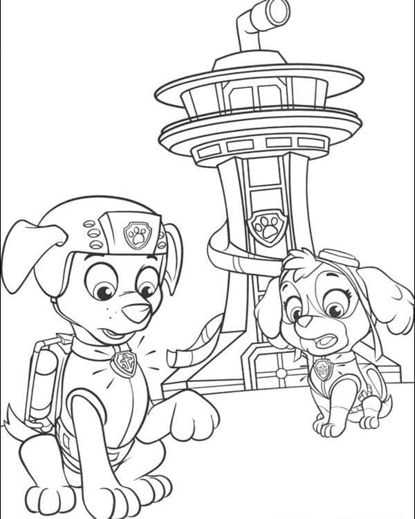 Zuma ja Skye Paw Patrol Värityskuva