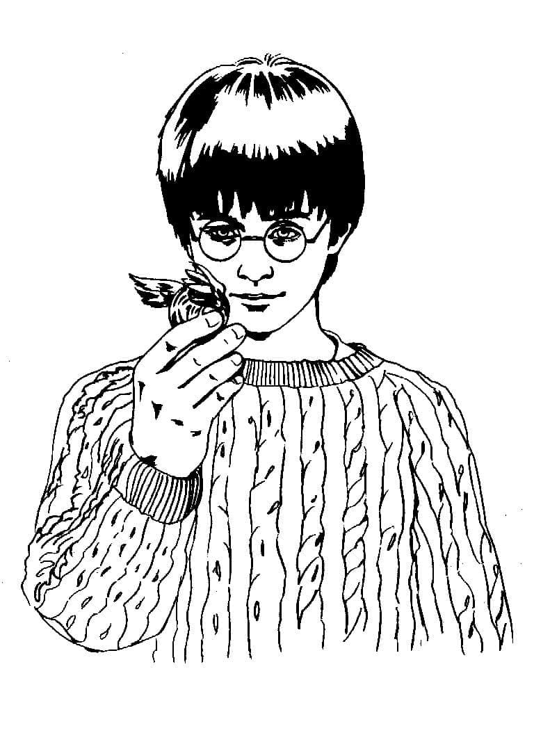 Harry Potter Golden Snitchillä Värityskuva