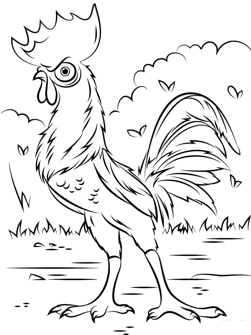 Hei Hei alkaen Moana Värityskuva