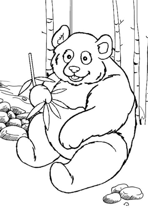 Panda coloring pages