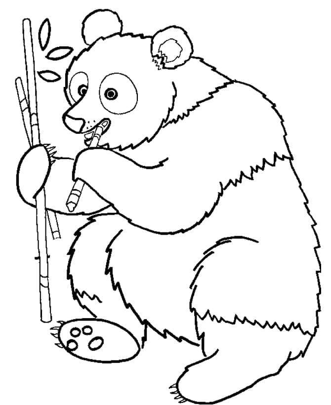 Ilmainen tulostettava Panda Värityskuva