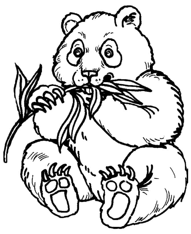 Jättiläinen Panda Värityskuva