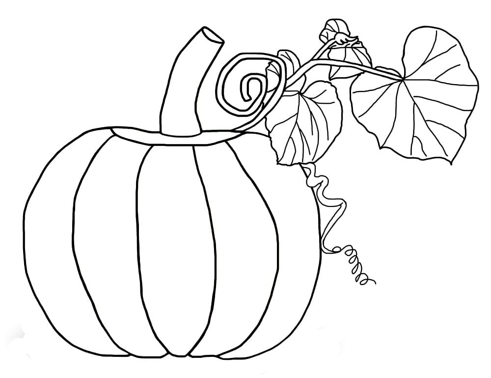 Kurpitsat coloring pages