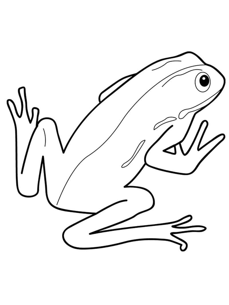 Tulostettava sammakko Värityskuva